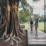 Exploring the Benefits of Provigil No Prescription for Everyday Users