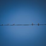 Unraveling the Science Behind Provigil: What Makes It So Effective?