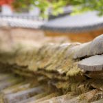 Provigil in the Workplace: Enhancing Performance Legally