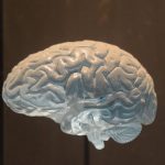 Navigating the World of Provigil No Prescription Availability