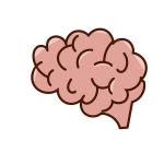 Natural Alternatives to Modafinil: Do They Work?