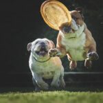 Exploring the Cognitive Benefits of Modafinil: A Deep Dive into Provigil