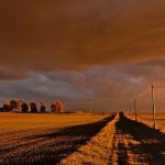 Common Myths About Buying Provigil: Debunked