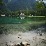 The Role of Provigil in Treating Narcolepsy