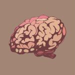Buy Modafinil Online: Exploring Dosage and Usage