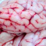 buy modafinil: The Ultimate Solution for Sleep Disorders