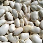 The Rise of Modafinil for Sale: A Smart Drug Revolution